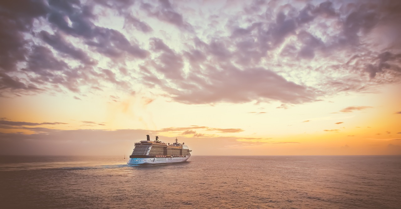 The Environmental Impact of Cruise Ships